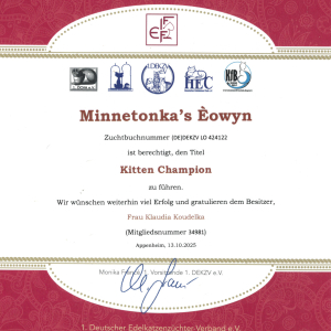 zertifikat_eowyn_01