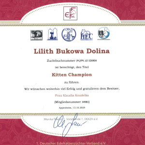 zertifikat_lillith_01