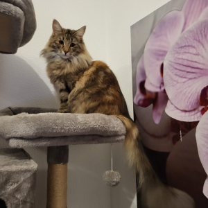 whatsapp-image-2025-12-29-at-18.56.59