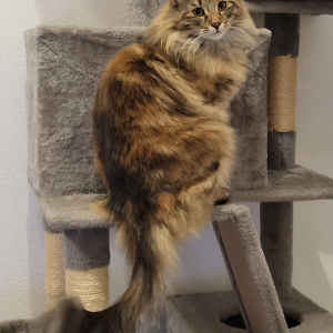 whatsapp-image-2025-12-29-at-18.57.14